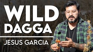 Intro to Wild Dagga  Leonotis leonurus with Jesus Garcia [upl. by Ndnarb305]