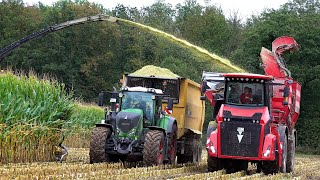 Maïs 2024  New Holland FR920  Von Meer  Holmer Terra  Maisernte  Scania  Mais harvest  Fendt [upl. by Siuol809]