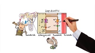 Pharmacology  DIURETICS MADE EASY [upl. by Britney748]