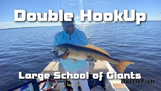 Redfish Double Hookup School of Giants [upl. by Aicineohp]