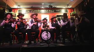 Melbourne Ceili Band live at Sydney Fleadh 2024 [upl. by Neve]