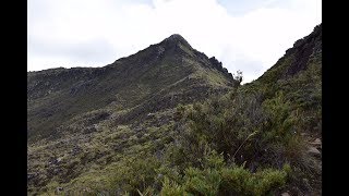 CERRO CHIRRIPO OVERNIGHT TREK 22 Summiting Cerro Chirripo [upl. by Ibot]