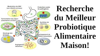 Après antibiotiques 💊 Recherche du Meilleur Probiotique Alimentaire Maison Errata 938 voir descr [upl. by Nilac]