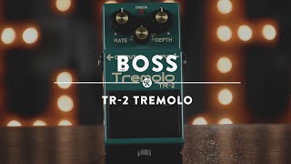 Boss TR2 Tremolo  Reverb Demo Video [upl. by Scholz]