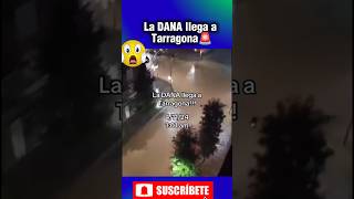 😱La DANA llega a Tarragona wow tarragona spain españa datoscuriosos datosquenosabias [upl. by Tranquada]