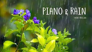 Rain Sounds amp Relaxing Music 247  Piano Music Sleep Study Yoga Stress Relief Meditation [upl. by Arbrab]