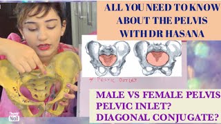 All you need to know about PELVIS BONE ANATOMY in 3D  Pelvimetry Diameters Landmarks EXPLAINED [upl. by Noxin459]