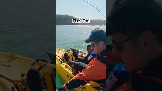 Kayak Fishing  Rockfish shorts kayakfishing fishing [upl. by Ditmore]