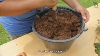 Video 501  Making a Miniature Container Garden [upl. by Ornie439]