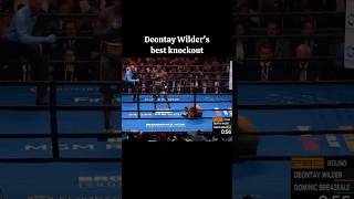 Deontay Wilders best knockout😤 gym boxing coach sports fight [upl. by Yetah]