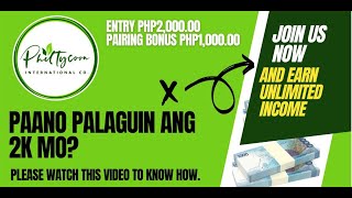 PAANO PALAGUIN ANG DALAWANG LIBONG PISO MO NG HIGIT SA INAASAHAN  PHILTYCOON COMPENSATION PLAN I [upl. by Ettelra]