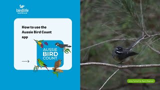 How to use the Aussie Bird Count App [upl. by Eduardo967]