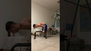 Planche and frontlever combo planche frontlever calisthenics streetworkout training motivation [upl. by Minerva470]