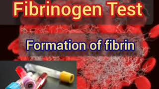 تحليل ال Fibrinogen وتكوين ال Fibrin  Fibrinogen test [upl. by Arlon]