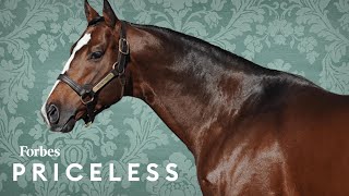 Why This BillionaireOwned Thoroughbred Horse Farm Is Worth 400 Million  Forbes Priceless [upl. by Quintie]