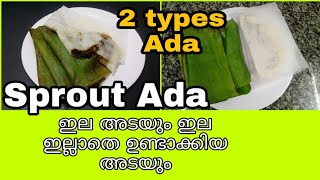 വാഴയില ഇല്ലാതെയും അട ഉണ്ടാക്കിയാലോ  healthy recipe [upl. by Yelrahc]