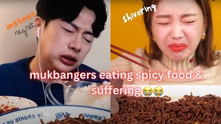 mukbangers eating the SPICIEST foods and SUFFERING [upl. by Ailices]