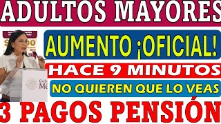 💥3 PAGOS🔔PENSION de Adultos Mayores ♨️SUPERAUMENTO 2025 CONFIRMA CLAUDIA💵MIRA ANTES QUE LO BORREN📢 [upl. by Annorah]