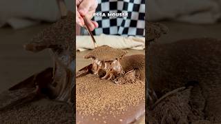 REVELEI O SEGREDO DE UMA MOUSSE DE CHOCOLATE 😋 sobremesa receitasfaceis receitafacil doces [upl. by Napas207]