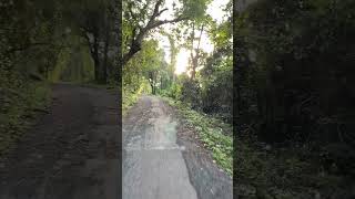 Bike trip to Candolim and Bambolim Forest music cover song newmusic sunburngoa indianband son [upl. by Eadahc]