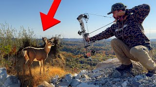 Bowhunting Whitetail Deer in the Appalachian Mountains [upl. by Eiznyl]