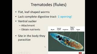 Ch 23 Parasitic Helminths [upl. by Gusty]