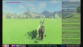 Chillaxing Stream Preparing a 120 Shrines Save file with NO Map 51120 Four Links Adventures [upl. by Nirot]