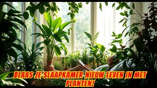 🌿 De Beste Planten om Je Slaapkamer te Decoreren Design en Ontspanning 🌿 [upl. by Tlok]