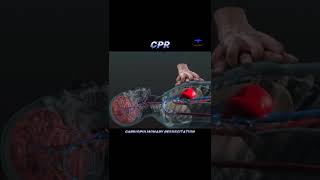 CPR  cardiopulmonary resuscitation  cpr savelife [upl. by Pero]