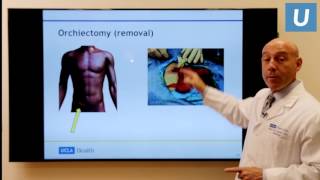 Testicular Cancer What You Really Need to Know  Mark Litwin MD MPH  UCLAMDChat [upl. by Benkley]