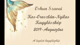 KOS OROSZLÁN NYILAS AUGUSZTUSI KAGYLÓSZKÓP TAROT [upl. by Heady359]