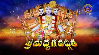 శ్రీమద్భగవద్గీత  Srimad Bhagavadgita  AkhandaParayanam  PARTI  Tirumala  13012022  SVBC TTD [upl. by Inez]