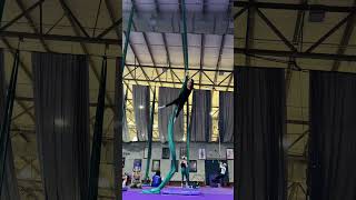 The best feeling 🦋 circus aerialsilks aerial circusartist artist shorts fyp [upl. by Hiroshi465]