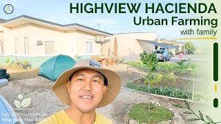 🌿 Urban Farming amp Bungalow Living in Highview Hacienda  A Day in Sto Rosario Magalang Pampanga 🌄 [upl. by Erminie]