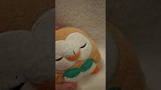 Rowlet Begs For Forgiveness sad loveacting depressed [upl. by Thornton]