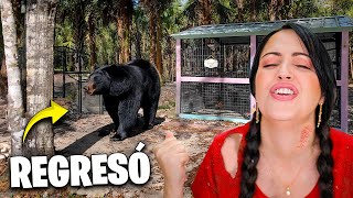 REGRESA EL OSO y ME CAIGO 😳 Sucede de TODO en La Finquita Bonita 🤭 Sandra Cires Vlog [upl. by Audres580]