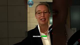 🔥 Alice Weidel enthüllt Warum die CDUCSU dringend Koalitionen braucht 😱 [upl. by Scevour]