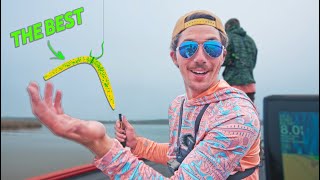 THIS Is The Best Spring Bass Fishing Lure [upl. by Eegnat449]