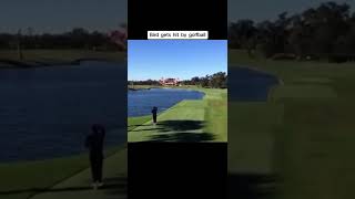 Golfer hits bird on drive golf pga golftournament tiktok funny [upl. by Paquito]