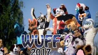 WUFF 2017 Глазами Енота 3 [upl. by Erreit]