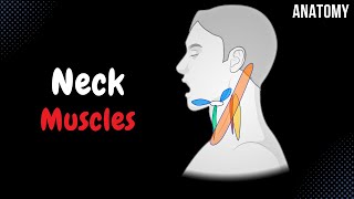 Muscles of the Neck Groups Origin Insertion Function [upl. by Barde]