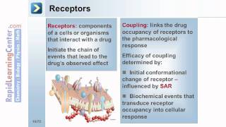 Rapid Learning Pharmacology  What is Pharmacodynamics [upl. by Einnep]