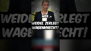 Weidel ZERLEGT Wagenkecht afd shorts [upl. by Sitarski]