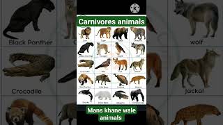 carnivores animals 🐅🐆 list with pictures 🏞️ for students  EVs knowledge for beginners [upl. by Lais]