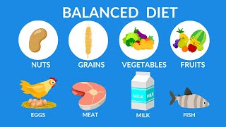 Balanced Diet  Best food for health [upl. by Loseff728]