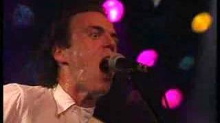 John Hiatt amp The Goners  Thank You Girl [upl. by Colette896]