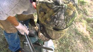 Hoof trimming Farrier correcting 3 unbalanced horse hooves [upl. by Junia600]