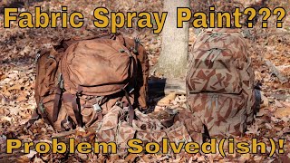 Fabric Spray Paint Problem Solvedish [upl. by Everest]