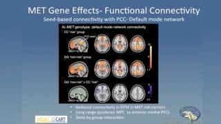 Linking Genes Brain and Behavior in Autism Spectrum Disorder [upl. by Leggett]