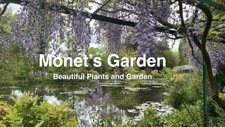 Monets Garden  Beautiful Plants and Gardens [upl. by Anpas]